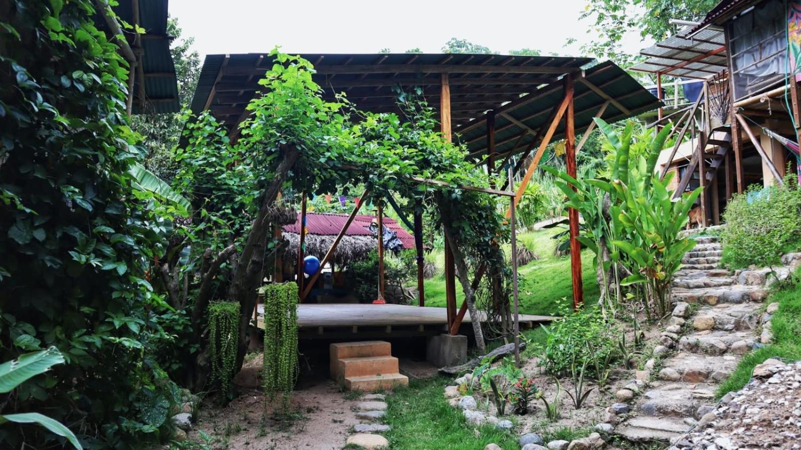 La Casa En El Aire * Palomino