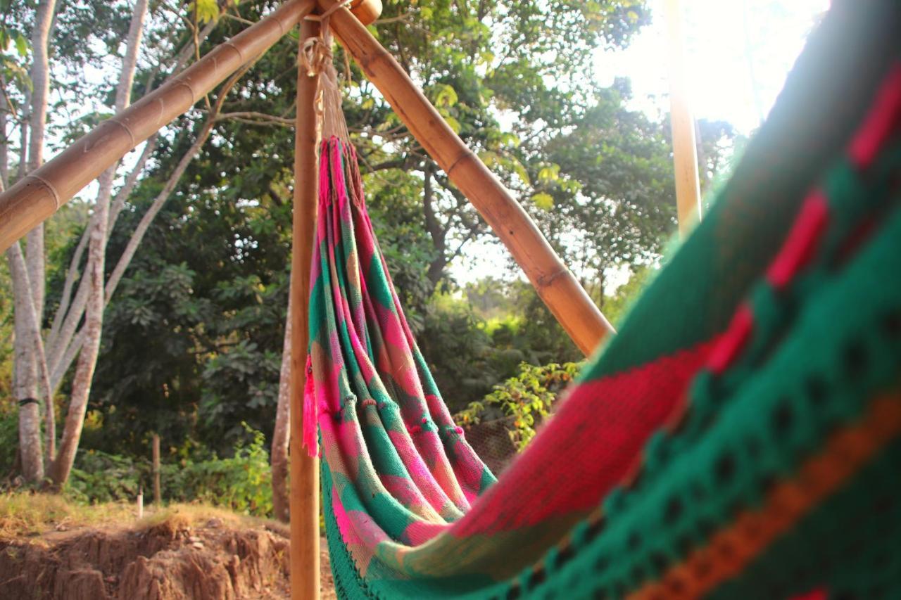 La Casa En El Aire * Palomino